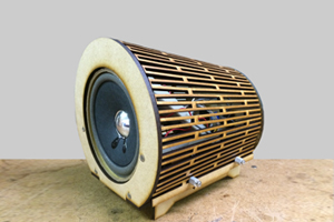 Speaker
